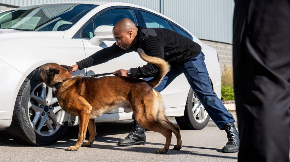 dl.beatsnoop.com-final-bdQaVy4xlX